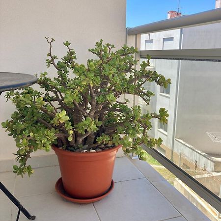 Cavalo-Marinho Nazare Apartment Екстериор снимка